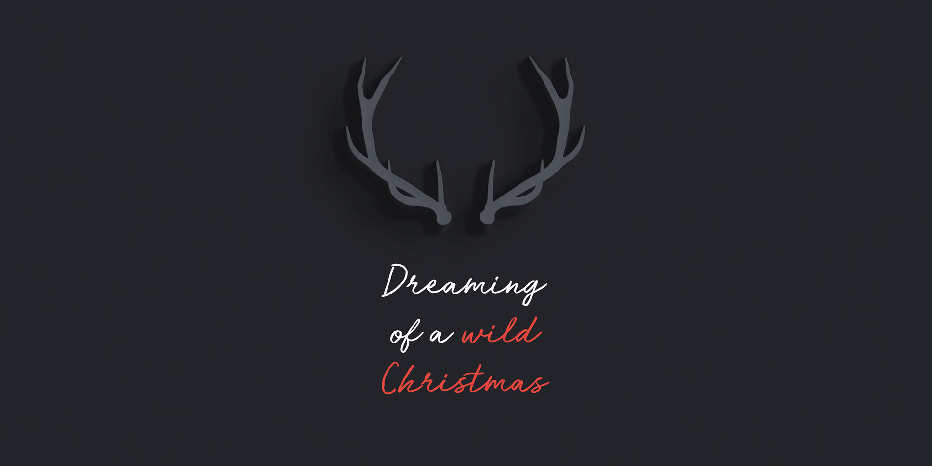 Dreaming of a wild Christmas